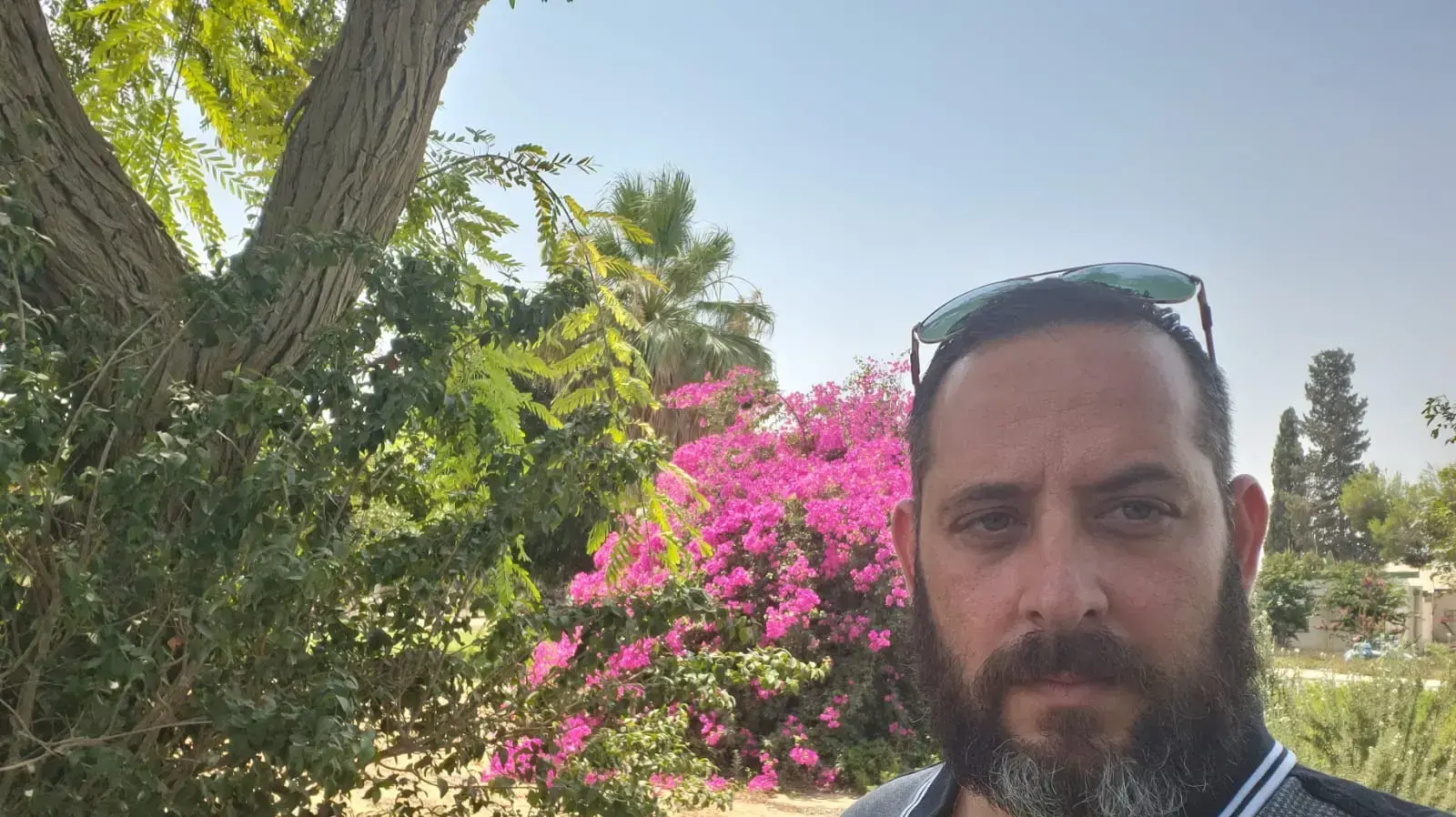 קיבוץ כרם שלום | גיא טייטלבאום 4 באוגוסט 2022 קיבוץ כרם שלום | גיא טייטלבאום 4 באוגוסט 2022