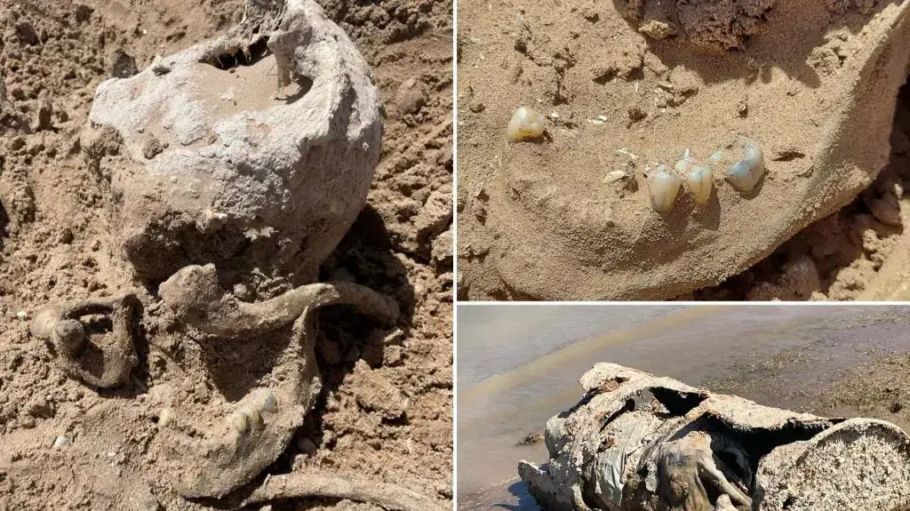 שרידי אדם נמצאו באגם מיד בשל ירידת פני המים, ארצות הברית שרידי אדם נמצאו באגם מיד בשל ירידת פני המים, ארצות הברית