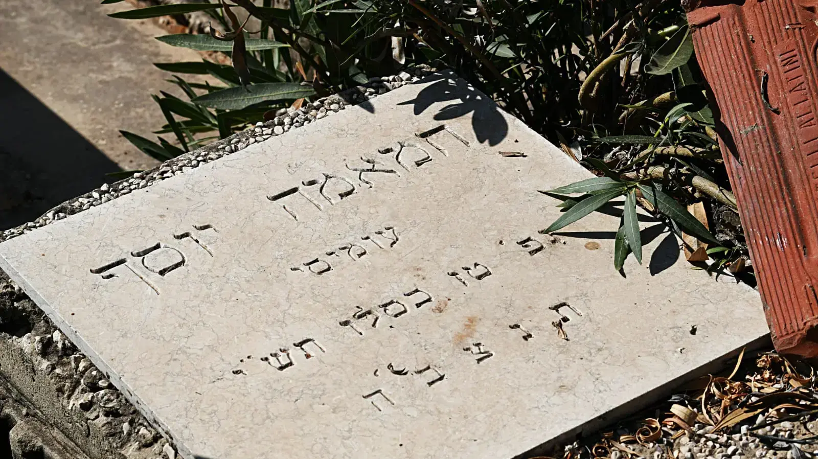 פתיחת קברה של חממה קרווה מילדי תימן, בית העלמין סגולה פתח תקווה 08 באוגוסט פתיחת קברה של חממה קרווה מילדי תימן, בית העלמין סגולה פתח תקווה 08 באוגוסט