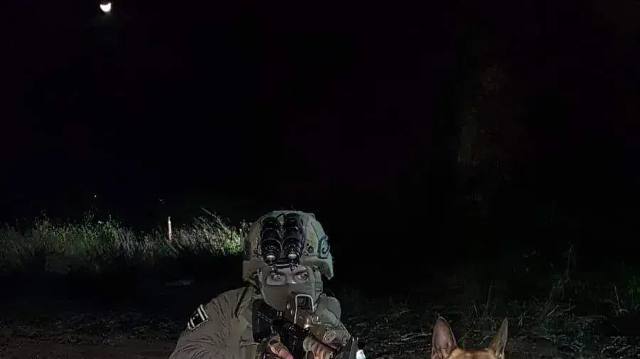 הכלב זילי שנהרג בפעולה של צה"ל וימ"מ בשכם, 9 באוגוסט 2022 הכלב זילי שנהרג בפעולה של צה"ל וימ"מ בשכם, 9 באוגוסט 2022