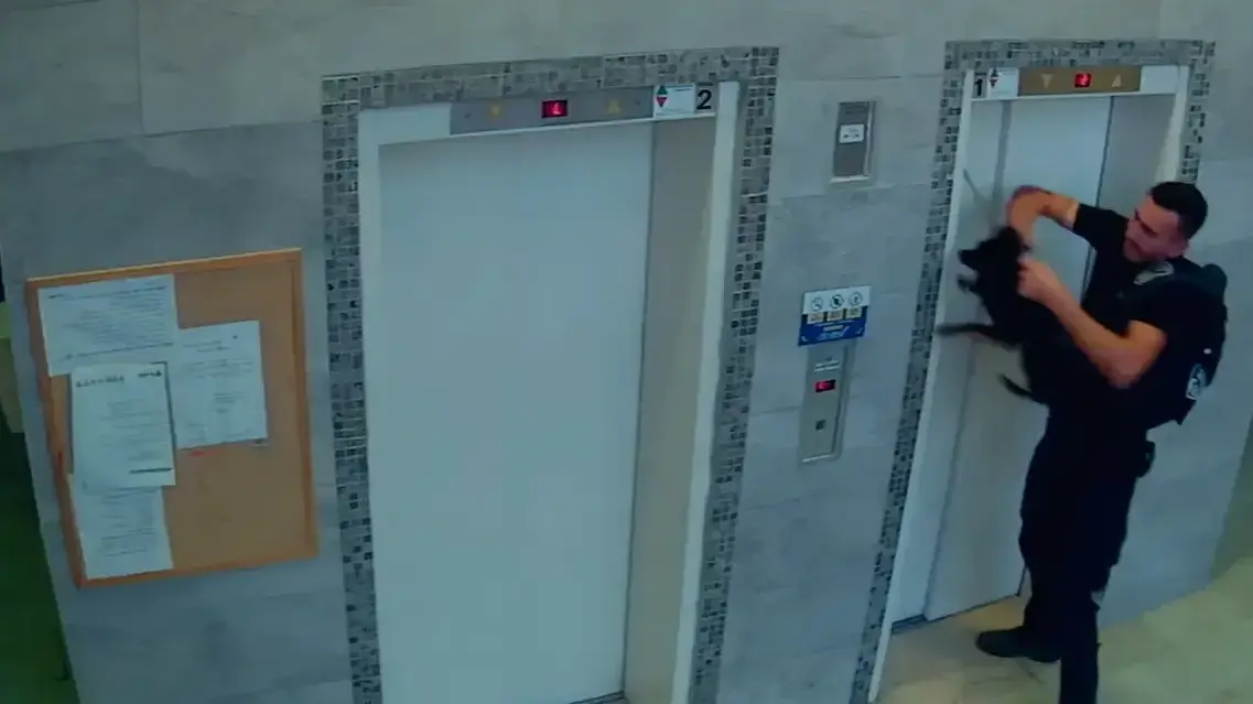 רס"ל משה חג'ג' מיחידת יואב במהלך חילוץ כלב במעלית רס"ל משה חג'ג' מיחידת יואב במהלך חילוץ כלב במעלית