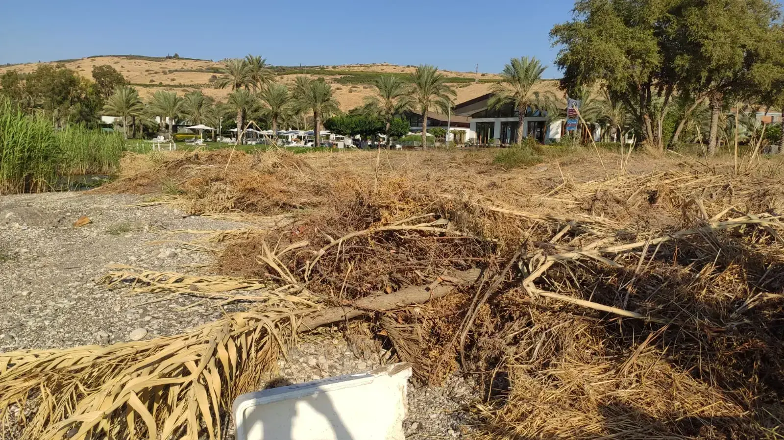 המלון היוקרתי בכינרת הסיר צמחייה מחוף ציבורי 19 בספטמבר 2022 המלון היוקרתי בכינרת הסיר צמחייה מחוף ציבורי 19 בספטמבר 2022