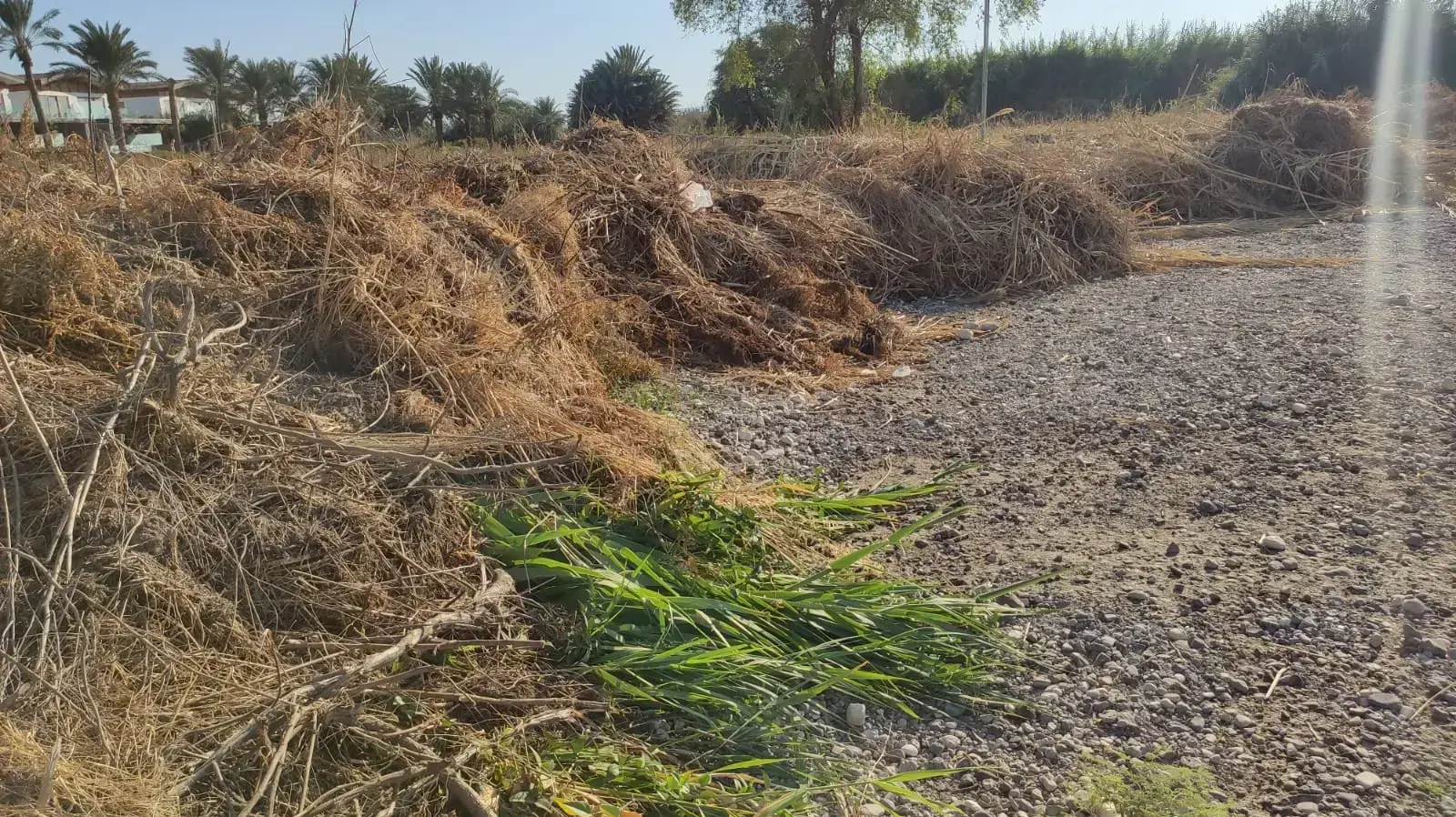 המלון היוקרתי בכינרת הסיר צמחייה מחוף ציבורי 19 בספטמבר 2022 המלון היוקרתי בכינרת הסיר צמחייה מחוף ציבורי 19 בספטמבר 2022