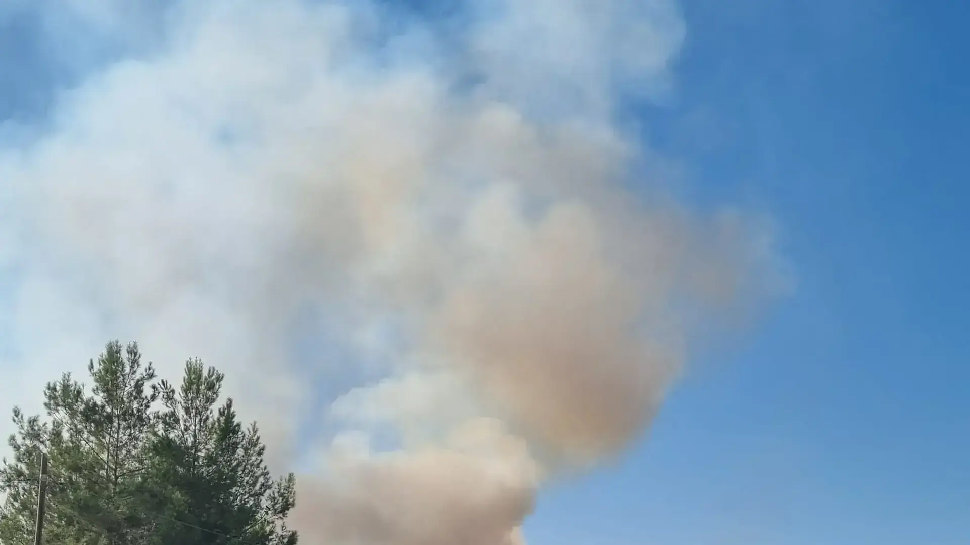 שריפת קוצים סמוך ליישוב מסילת ציון 28 בספטמבר 2022
שריפת קוצים סמוך ליישוב מסילת ציון 28 בספטמבר 2022