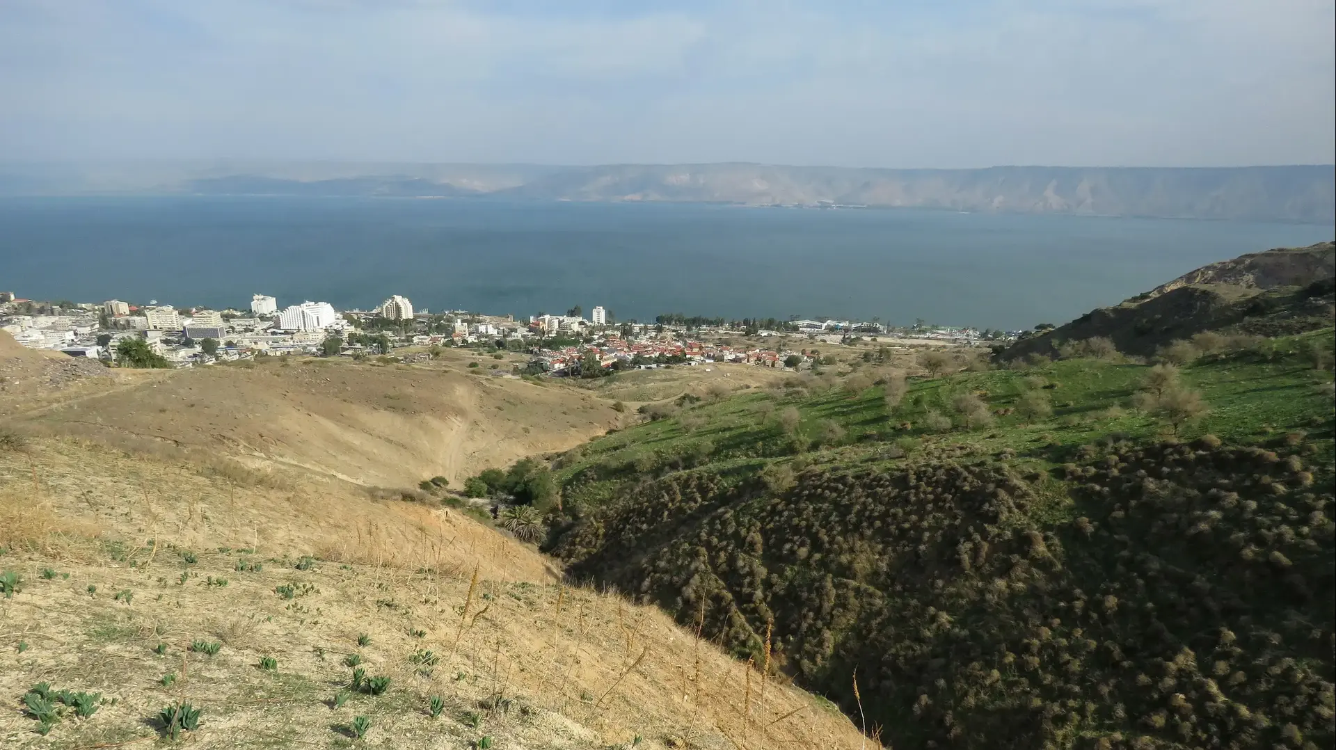 יער שוויץ