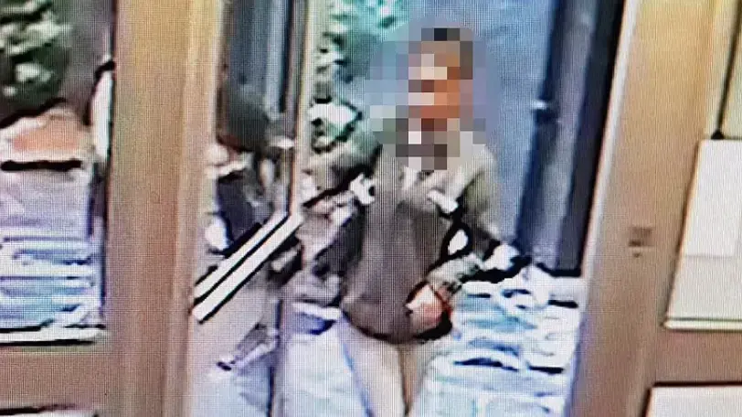 הילדה לולה שנרצחה בפריז והוכנסה למזוודה הילדה לולה שנרצחה בפריז והוכנסה למזוודה