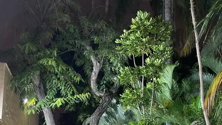 גשם בגוש דן 20 באוקטובר 2022 גשם בגוש דן 20 באוקטובר 2022