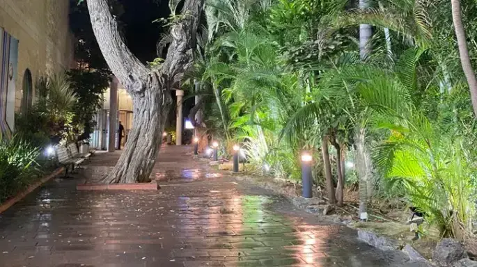 גשם בגוש דן 20 באוקטובר 2022 גשם בגוש דן 20 באוקטובר 2022