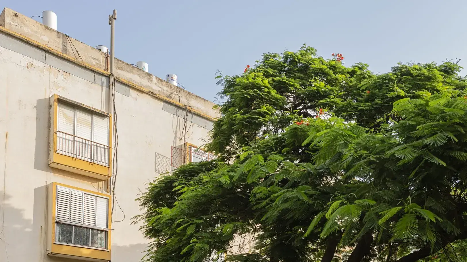 דירת שיכון בגבעתיים שהזמן קפא בה מלכת בשנות ה-60 דירת שיכון בגבעתיים שהזמן קפא בה מלכת בשנות ה-60