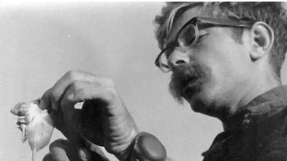 דודי בן עמי עם גרביל, פלמחים 1967 דודי בן עמי עם גרביל, פלמחים 1967