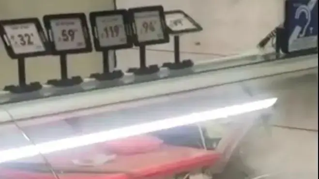 חתול מטייל על בשר שמוצע למכירה בסניף רמי לוי, שער בנימין חתול מטייל על בשר שמוצע למכירה בסניף רמי לוי, שער בנימין