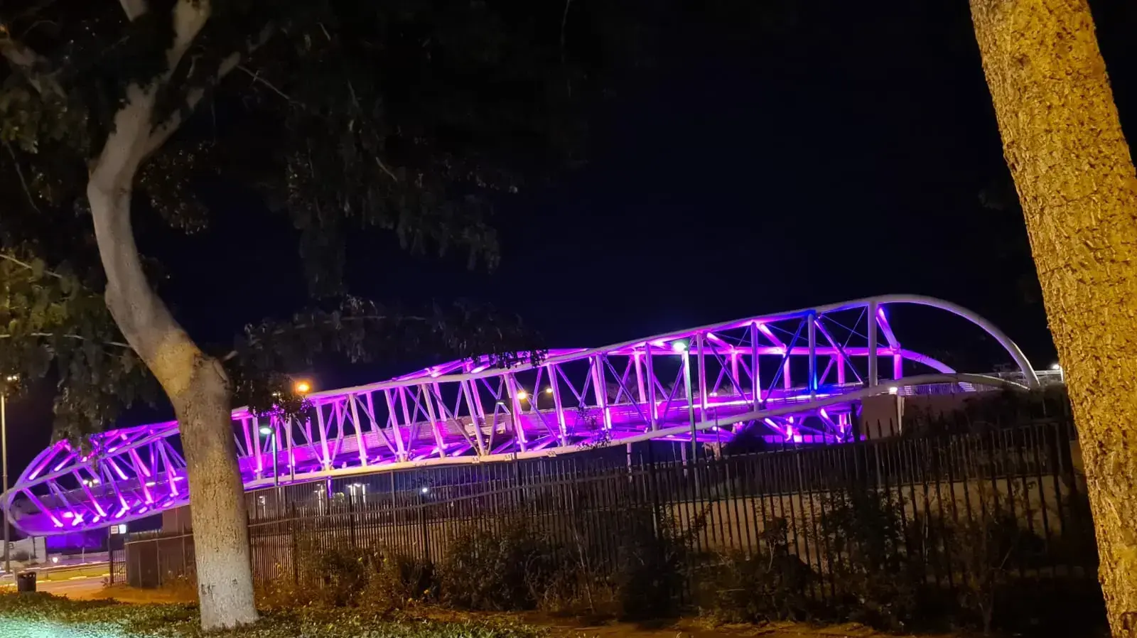 לילה סגול, להעלאת מודעות לזכויות אנשים עם מוגבלות לילה סגול, להעלאת מודעות לזכויות אנשים עם מוגבלות