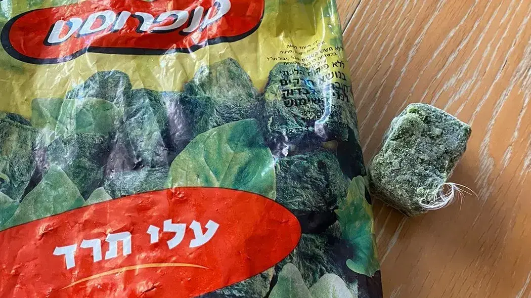 נוצה בתרד של סנפרוסט, 2 בדצמבר 2022