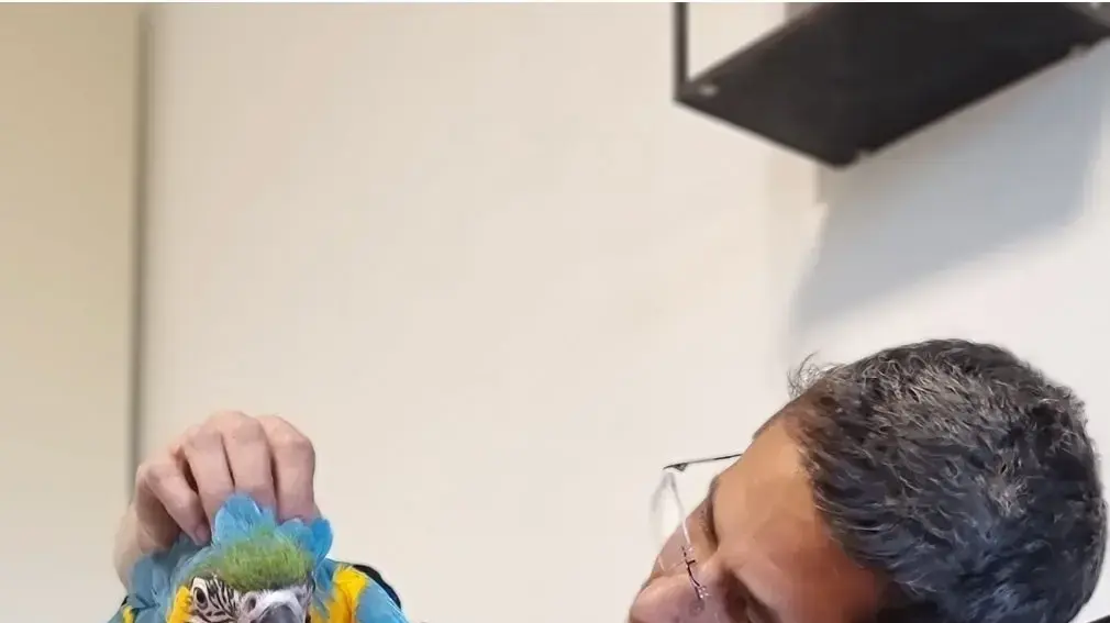 אביחי שטרן והתוכי אביחי שטרן והתוכי