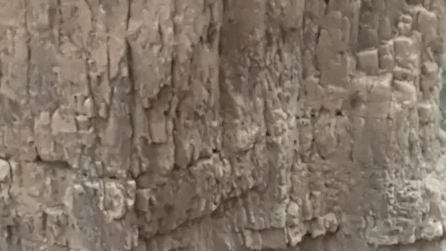חילוץ תיירת שנפלה מגובה בים המלח. שני בינואר 2022 חילוץ תיירת שנפלה מגובה בים המלח. שני בינואר 2022