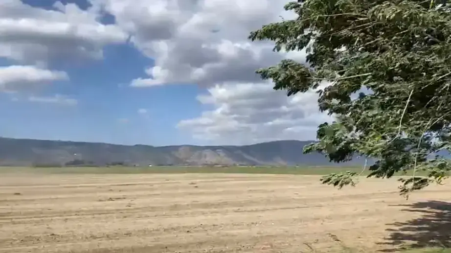 רוחות במהירות של קרוב ל100 קמ"ש מנשבות באדמות הכבול בעמק החולה.