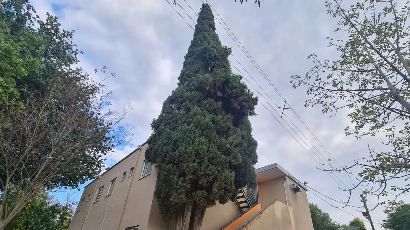 בית ד' שבו היתה העמדה בה נהרג חיים- הארי וולף, קיבוץ שער הגולן, ינואר 2023 בית ד' שבו היתה העמדה בה נהרג חיים- הארי וולף, קיבוץ שער הגולן, ינואר 2023
