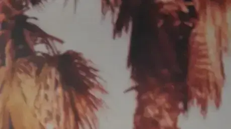 אברהם ברומברג וחברתו ענת אברהם ברומברג וחברתו ענת