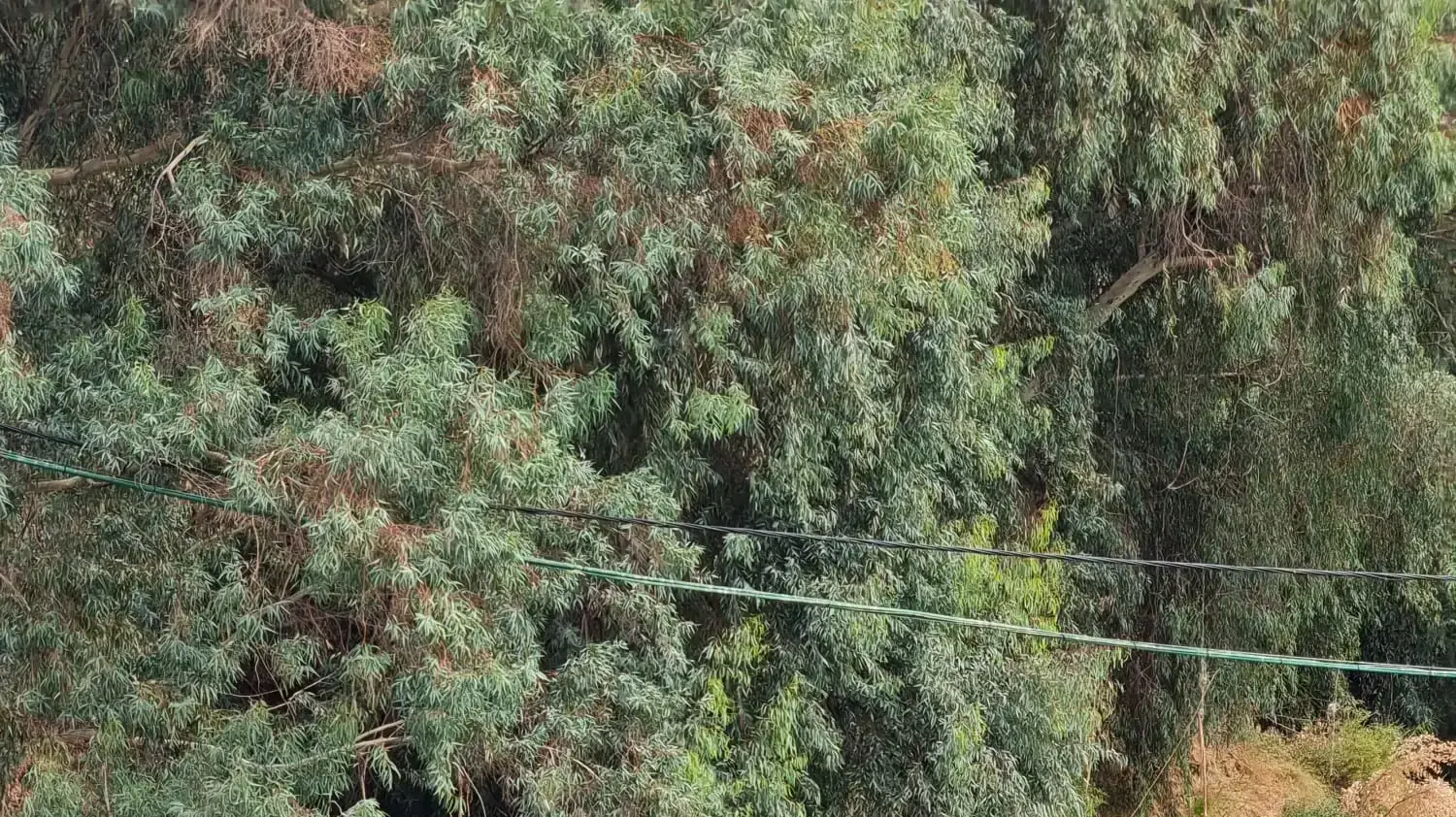 מפלס המים בכנרת, שנת 2023 מפלס המים בכנרת, שנת 2023