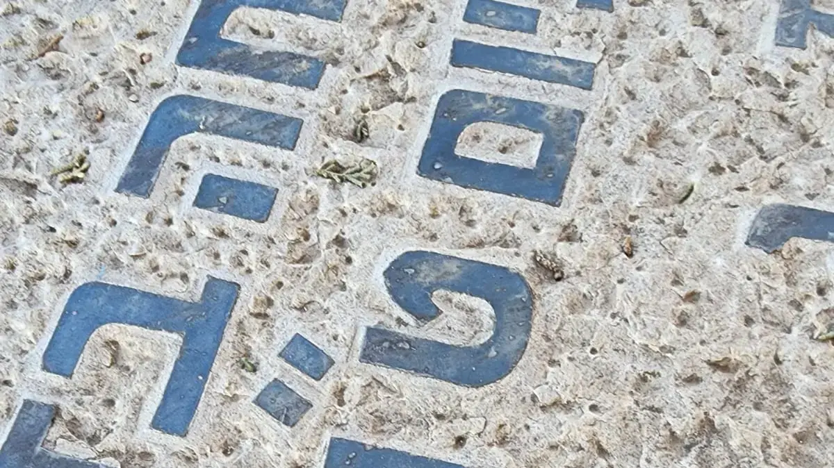 קברה של תאיר ראדה בבית העלמין של קצרין. 26 בינואר 2023 קברה של תאיר ראדה בבית העלמין של קצרין. 26 בינואר 2023