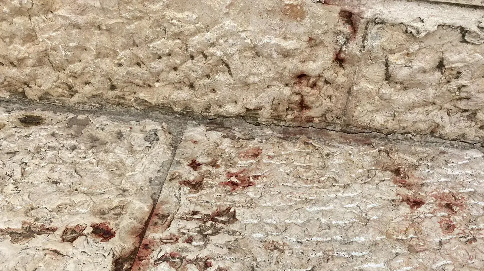 כתמי דם בעקבות פיגוע הירי בירושלים בו נהרגו שבעה בני אדם. 28 בינואר 23 כתמי דם בעקבות פיגוע הירי בירושלים בו נהרגו שבעה בני אדם. 28 בינואר 23