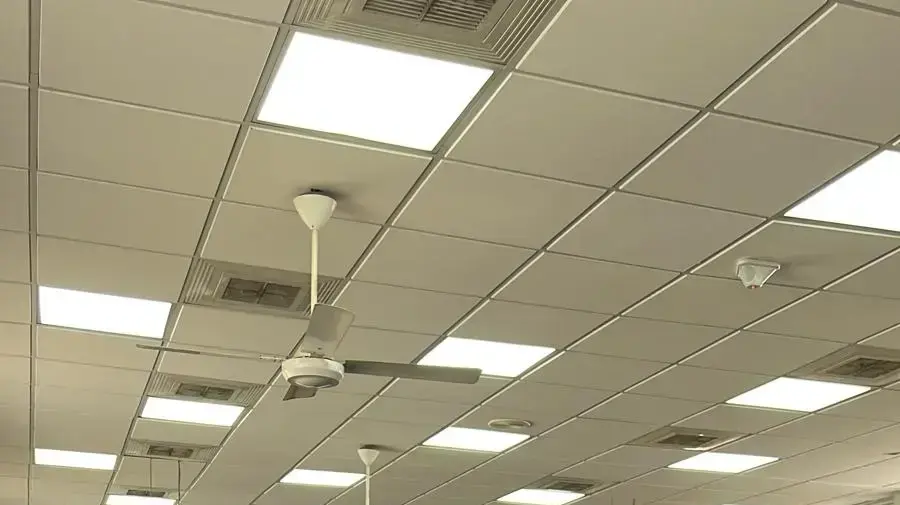 הלוויתו של שאול חי, שנרצח בפיגוע בירושלים, 29 בינואר 2023 הלוויתו של שאול חי, שנרצח בפיגוע בירושלים, 29 בינואר 2023