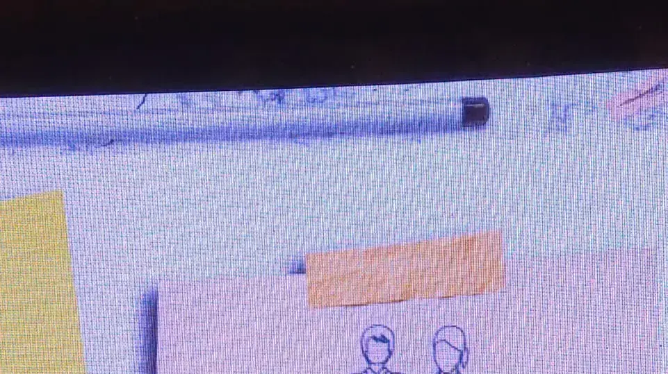 קלי כהן קלי כהן