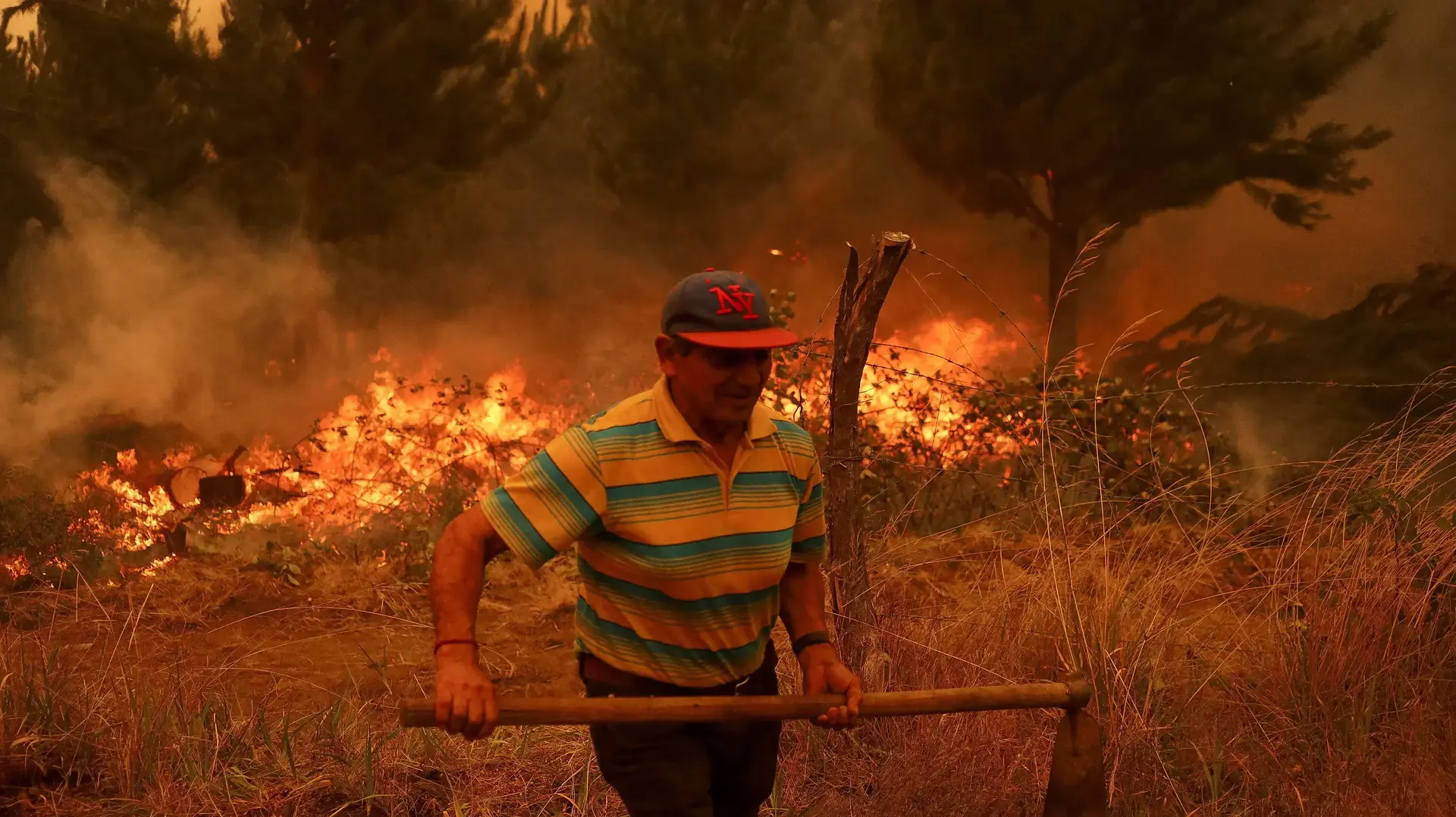 שריפות בצ'ילה שריפות בצ'ילה