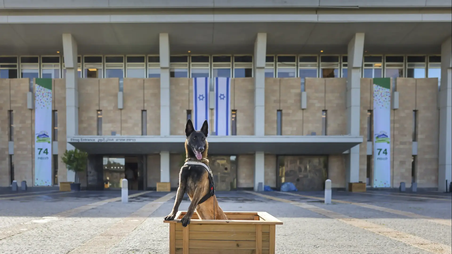 הכלבה ג'סי , יחידת כלבנים בכנסת