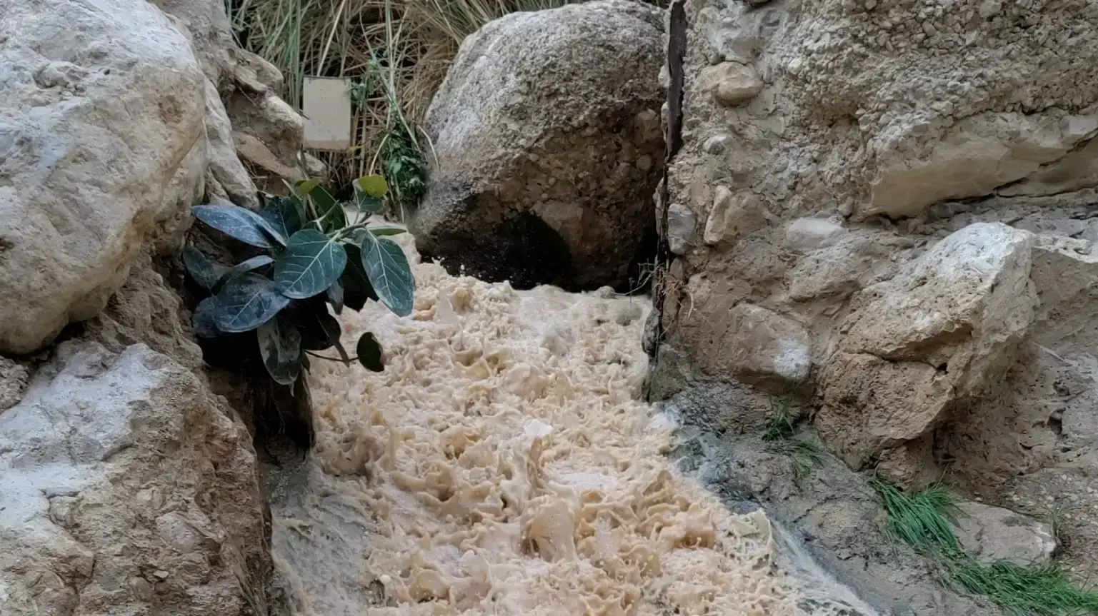 שטפון בעין גדי, תושבי הקיבוץ נצורים באיזור שטפון בעין גדי, תושבי הקיבוץ נצורים באיזור