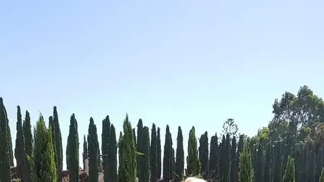 סשה (אלכסנדרה) קוטחין סשה (אלכסנדרה) קוטחין