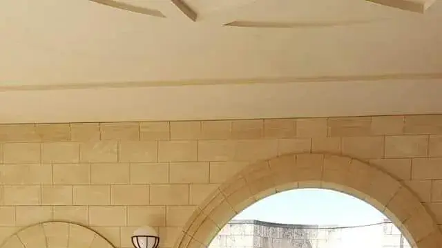 סשה (אלכסנדרה) קוטחין סשה (אלכסנדרה) קוטחין