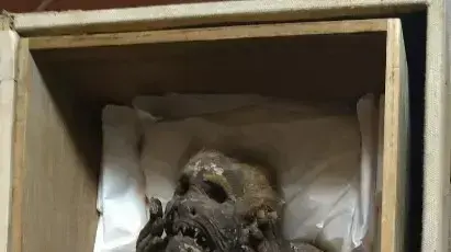 היצור נשמר במקדש יפני בן מאות שנים, הממוקם בדרום יפן היצור נשמר במקדש יפני בן מאות שנים, הממוקם בדרום יפן