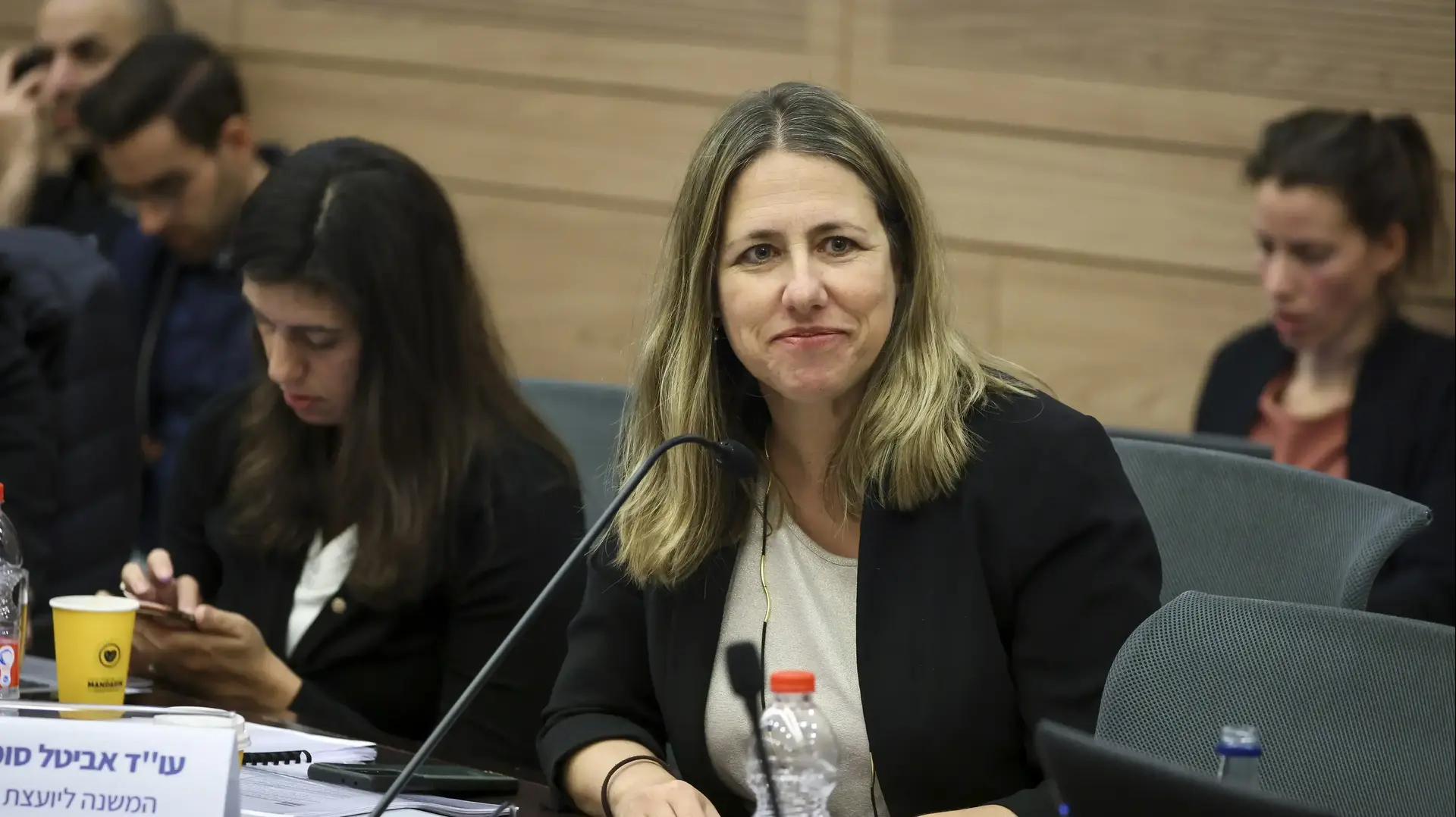 עו"ד אביטל סומפולינסקי בדיון ועדת החוקה, כנסת, 19 בפברואר עו"ד אביטל סומפולינסקי בדיון ועדת החוקה, כנסת, 19 בפברואר