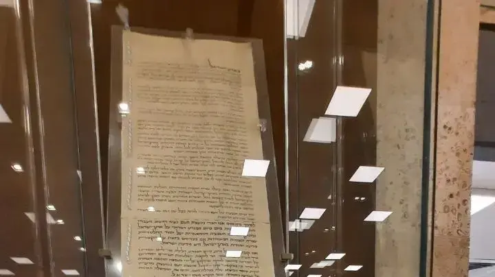 מחאת הסטודנטים בכנסת, שלט נגנז על גבי מגילת העצמאות המקורית 20 בפברואר 2022
מחאת הסטודנטים בכנסת, שלט נגנז על גבי מגילת העצמאות המקורית 20 בפברואר 2022