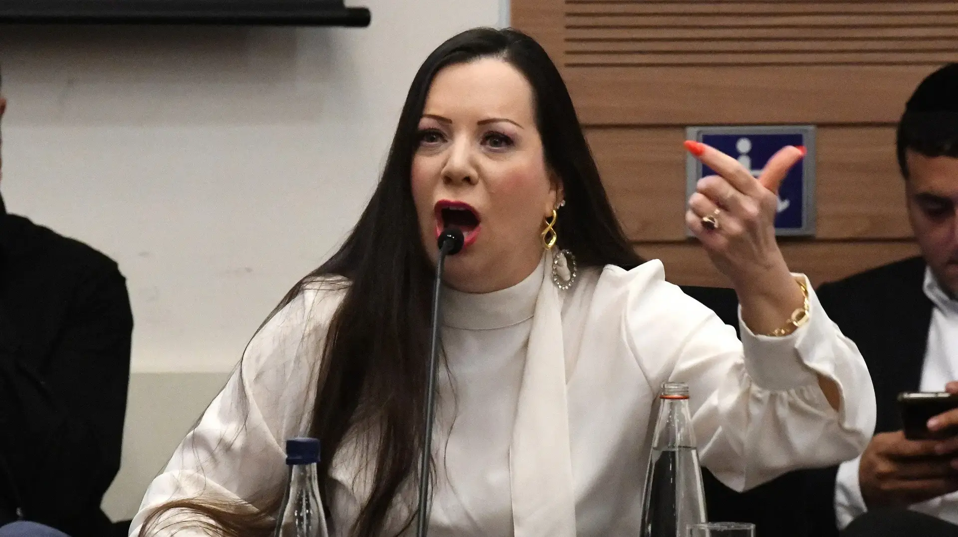טלי גוטליב, דיון ועדת החוקה, כנסת, 20 בפברואר 2023 טלי גוטליב, דיון ועדת החוקה, כנסת, 20 בפברואר 2023