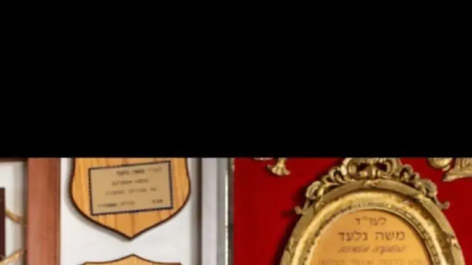 עו"ד משה גלעד עו"ד משה גלעד