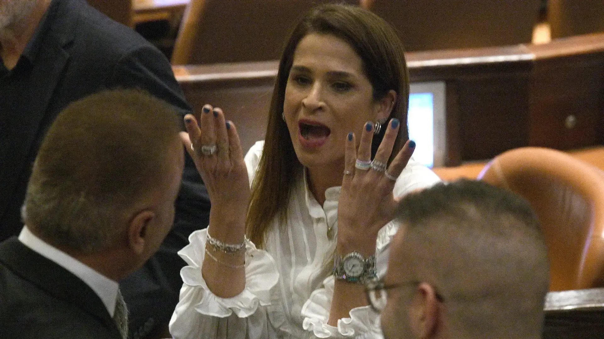 מירב בן ארי, מליאת הכנסת, 20 בפברואר 2023