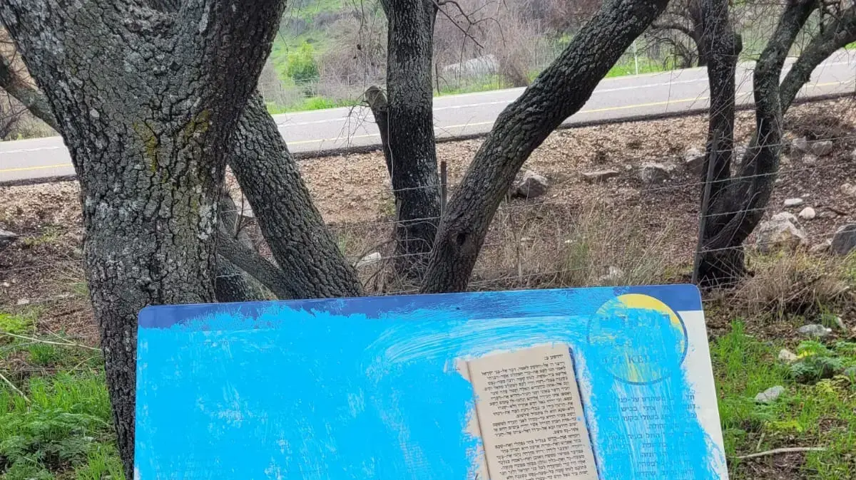 אתר העתיקות תל קדש שבגליל העליון הושחת. 24 בפברואר 2023 אתר העתיקות תל קדש שבגליל העליון הושחת. 24 בפברואר 2023