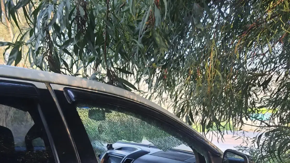 שני גברים פרצו לרכבים בצפון כהשלמת הכנסה