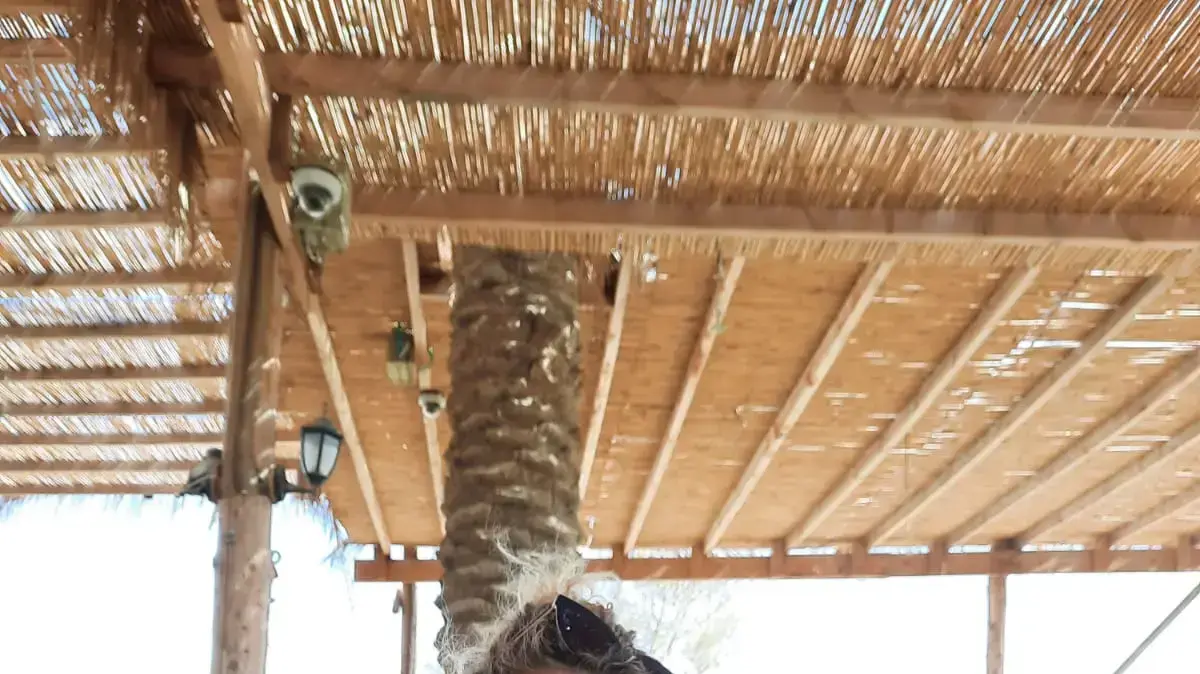 מעיין, בת 10, נפצעה קשה בתאונת דרכים במהלך טיול שנתי של בית הספר, ספגה פגיעת ראש קשה ומאז נמצאת בתרדמת. מעיין, בת 10, נפצעה קשה בתאונת דרכים במהלך טיול שנתי של בית הספר, ספגה פגיעת ראש קשה ומאז נמצאת בתרדמת.