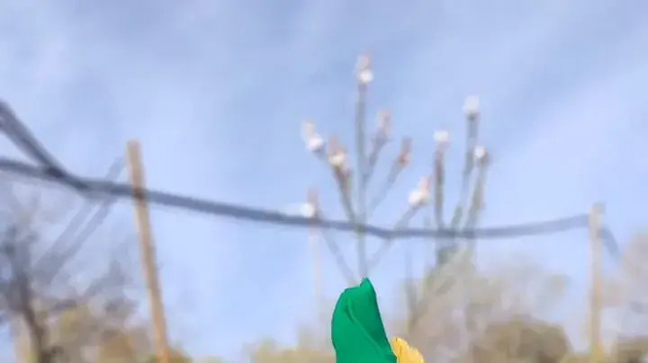 סיני כהן מכפר אלדד בחגיגת פורים 05 במרץ 2023