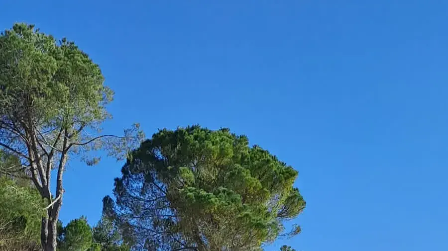 ״אנשים, אחים, אנחנו״ ״אנשים, אחים, אנחנו״