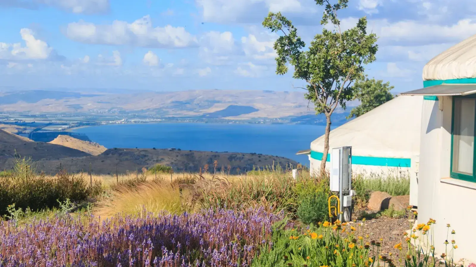 גבעת יואב רמת הגולן גבעת יואב רמת הגולן
