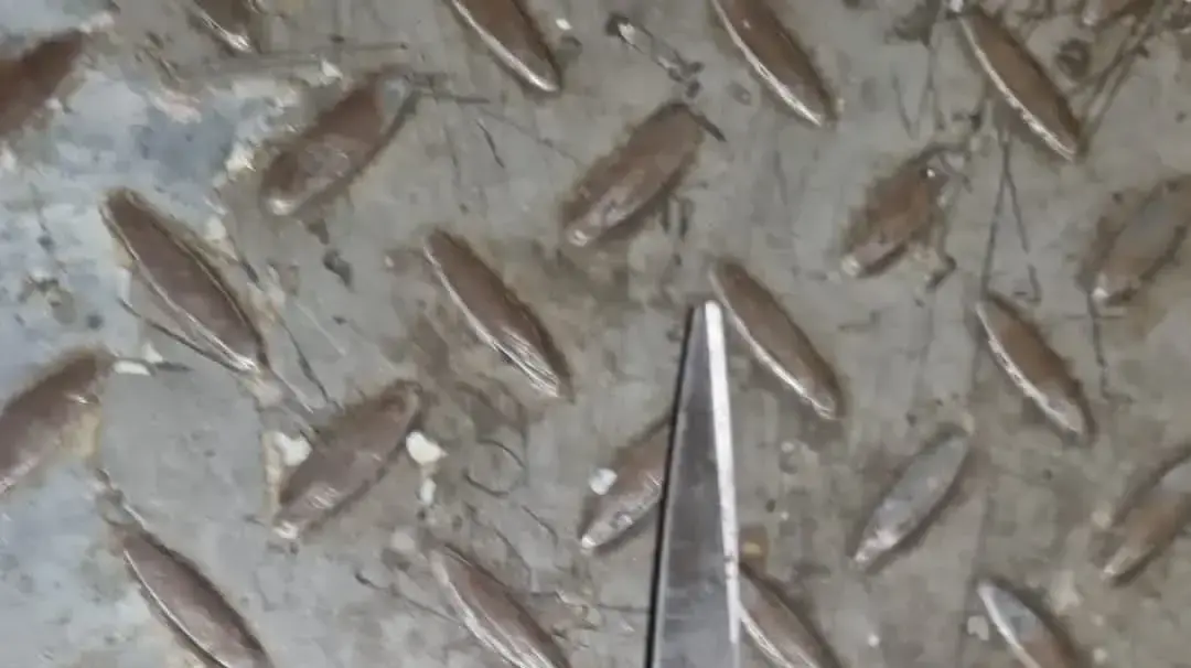 המשטרה סיכלה פיגוע באזור העיר העתיקה בירושלים. 3 באפריל 2023 המשטרה סיכלה פיגוע באזור העיר העתיקה בירושלים. 3 באפריל 2023