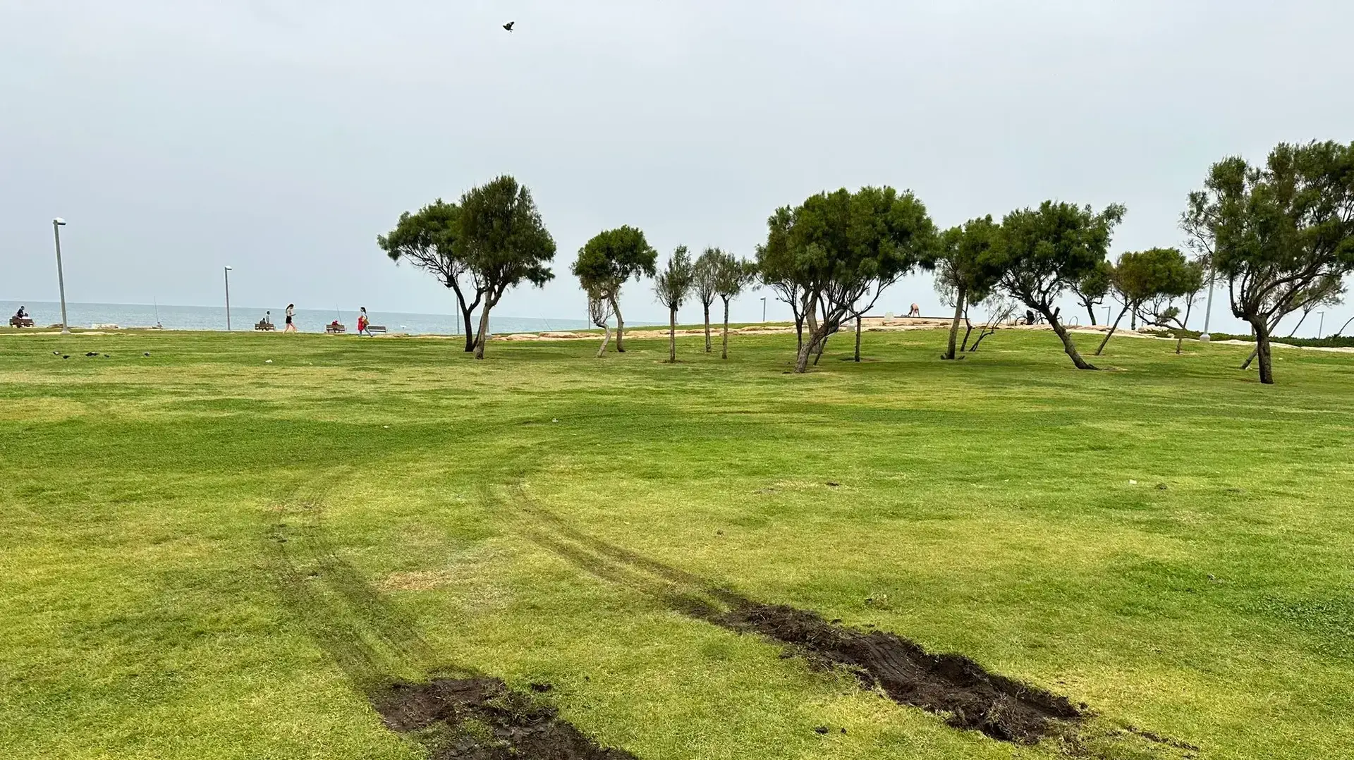 גן צ'רלס קלור, הבוקר גן צ'רלס קלור, הבוקר