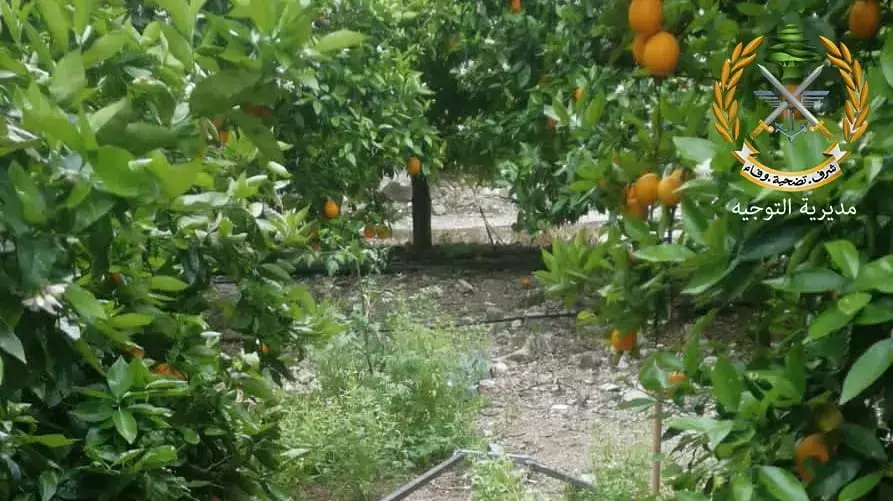 משגר רקטות שהיו ערוכים לשיגור שנמצאו על ידי צבא לבנון. 8 באפריל 2023 משגר רקטות שהיו ערוכים לשיגור שנמצאו על ידי צבא לבנון. 8 באפריל 2023