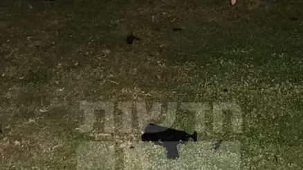 כלי הנשק מפלסטיק של המחבל בתל אביב כלי הנשק מפלסטיק של המחבל בתל אביב