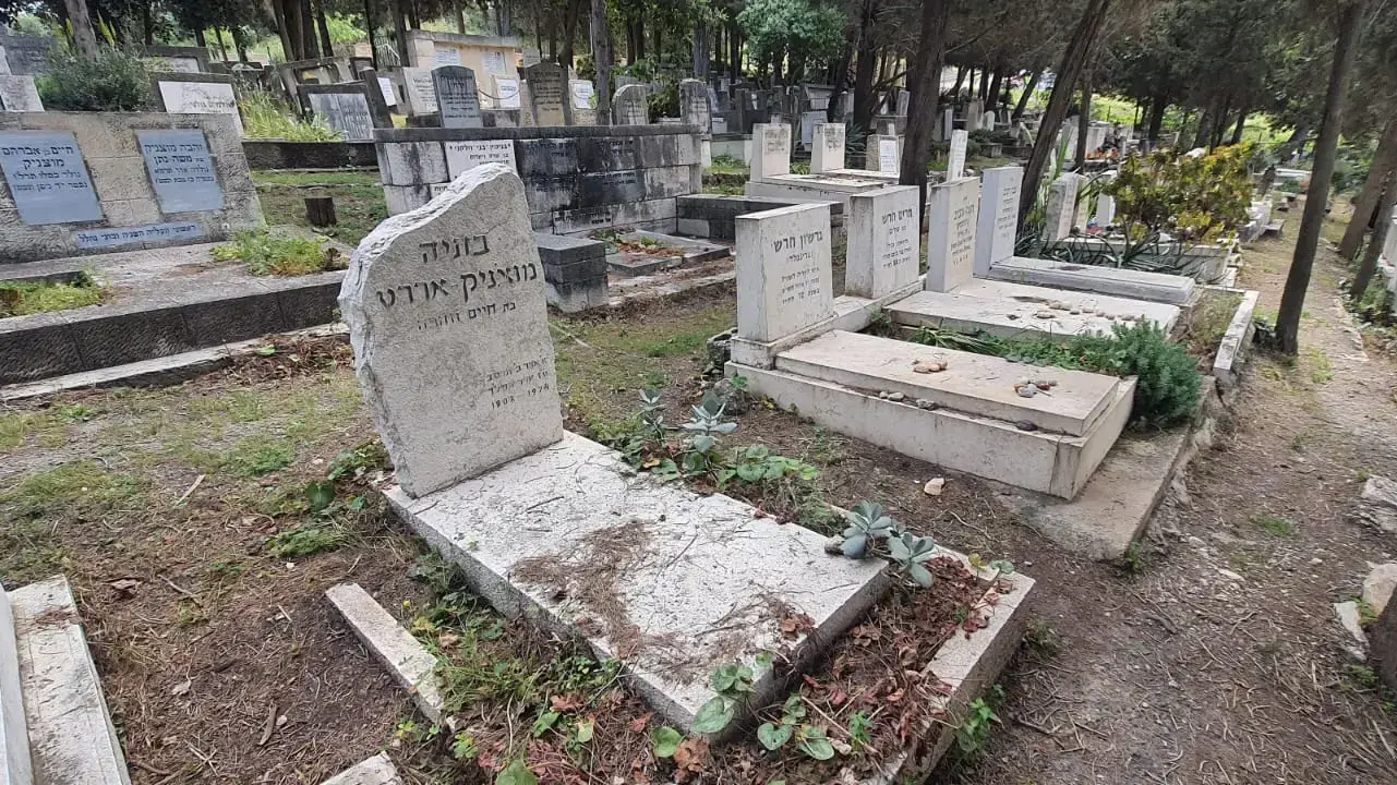 בית הקברות בנהלל. 21 באפריל 2023 בית הקברות בנהלל. 21 באפריל 2023