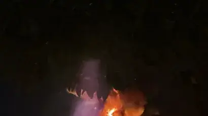 דרקון רובוטי עולה באש בדיסנילנד דרקון רובוטי עולה באש בדיסנילנד
